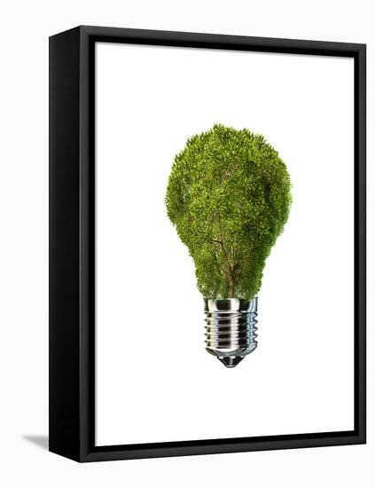 Light Bulb with Tree Inside Glass, Isolated on White Background-null-Framed Stretched Canvas