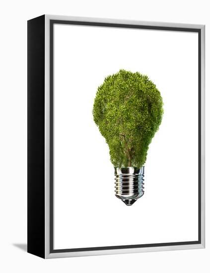 Light Bulb with Tree Inside Glass, Isolated on White Background-null-Framed Stretched Canvas