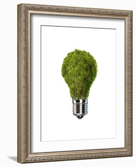 Light Bulb with Tree Inside Glass, Isolated on White Background-null-Framed Premium Giclee Print