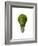 Light Bulb with Tree Inside Glass, Isolated on White Background-null-Framed Premium Giclee Print