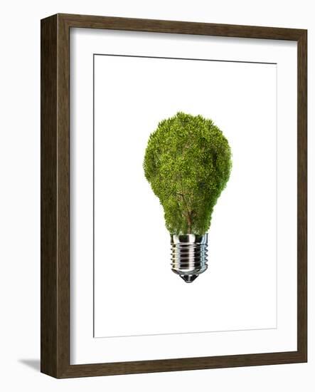 Light Bulb with Tree Inside Glass, Isolated on White Background-null-Framed Art Print