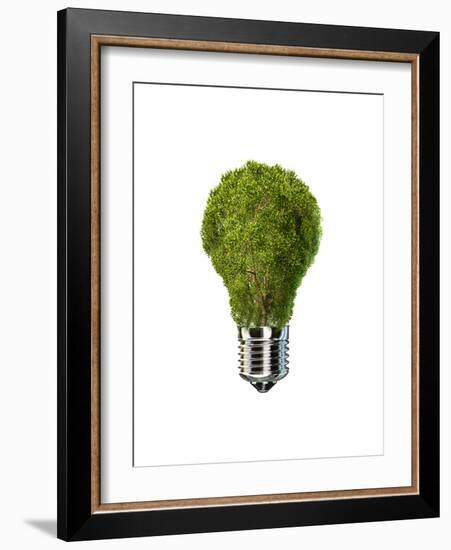 Light Bulb with Tree Inside Glass, Isolated on White Background-null-Framed Art Print