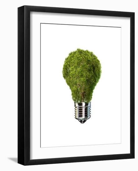 Light Bulb with Tree Inside Glass, Isolated on White Background-null-Framed Art Print