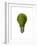 Light Bulb with Tree Inside Glass, Isolated on White Background-null-Framed Art Print