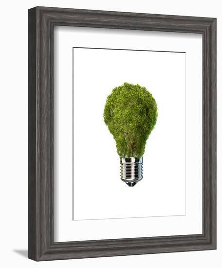 Light Bulb with Tree Inside Glass, Isolated on White Background-null-Framed Art Print