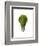 Light Bulb with Tree Inside Glass, Isolated on White Background-null-Framed Art Print