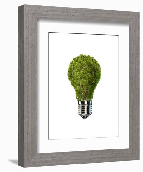 Light Bulb with Tree Inside Glass, Isolated on White Background-null-Framed Art Print