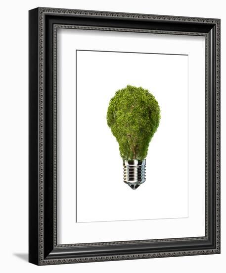 Light Bulb with Tree Inside Glass, Isolated on White Background-null-Framed Art Print