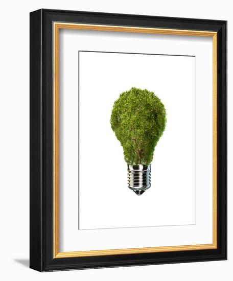 Light Bulb with Tree Inside Glass, Isolated on White Background-null-Framed Art Print