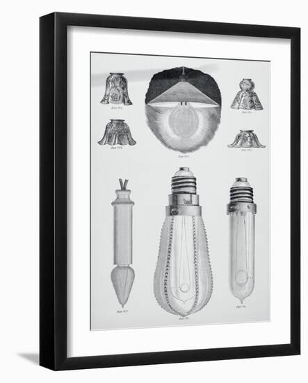 Light Bulbs on Display-null-Framed Giclee Print