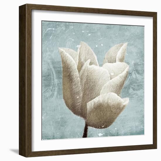 Light calm-Jace Grey-Framed Art Print