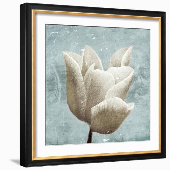 Light calm-Jace Grey-Framed Art Print