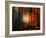 Light Colors-Philippe Sainte-Laudy-Framed Premium Photographic Print