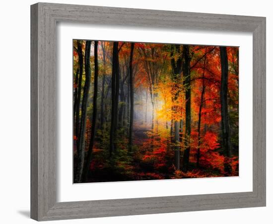 Light Colors-Philippe Sainte-Laudy-Framed Photographic Print