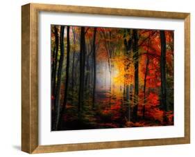 Light Colors-Philippe Sainte-Laudy-Framed Photographic Print