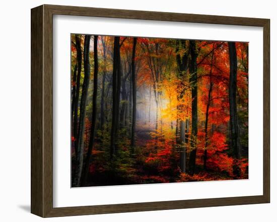 Light Colors-Philippe Sainte-Laudy-Framed Photographic Print