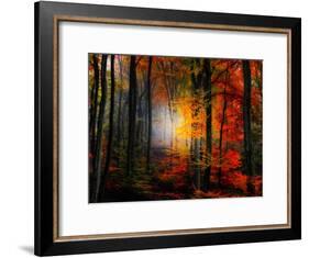 Light Colors-Philippe Sainte-Laudy-Framed Photographic Print