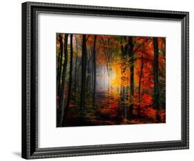 Light Colors-Philippe Sainte-Laudy-Framed Photographic Print