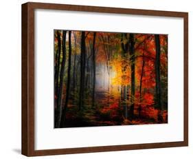 Light Colors-Philippe Sainte-Laudy-Framed Photographic Print