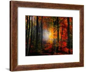 Light Colors-Philippe Sainte-Laudy-Framed Photographic Print