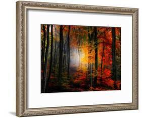 Light Colors-Philippe Sainte-Laudy-Framed Photographic Print