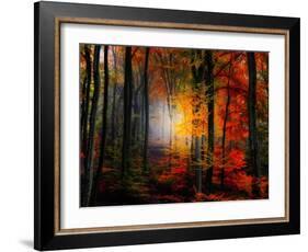 Light Colors-Philippe Sainte-Laudy-Framed Photographic Print