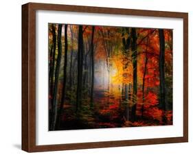 Light Colors-Philippe Sainte-Laudy-Framed Photographic Print