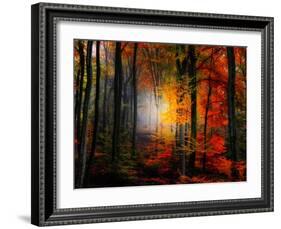 Light Colors-Philippe Sainte-Laudy-Framed Photographic Print