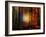 Light Colors-Philippe Sainte-Laudy-Framed Photographic Print