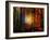 Light Colors-Philippe Sainte-Laudy-Framed Photographic Print