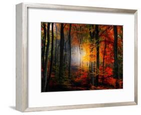 Light Colors-Philippe Sainte-Laudy-Framed Photographic Print
