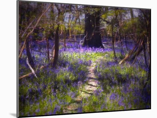 Light-Dappled Bluebells, 2021 (digital painting)-Helen White-Mounted Giclee Print