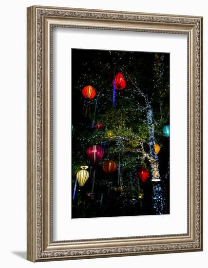 Light decorations. Tet Festival, New Year celebration, Vietnam.-Tom Norring-Framed Photographic Print