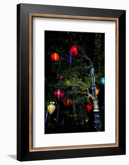 Light decorations. Tet Festival, New Year celebration, Vietnam.-Tom Norring-Framed Photographic Print