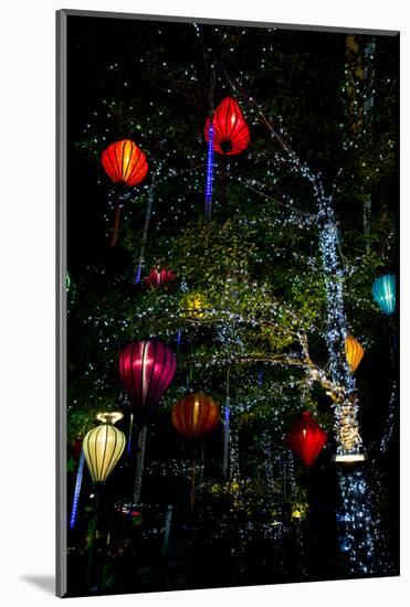 Light decorations. Tet Festival, New Year celebration, Vietnam.-Tom Norring-Mounted Photographic Print