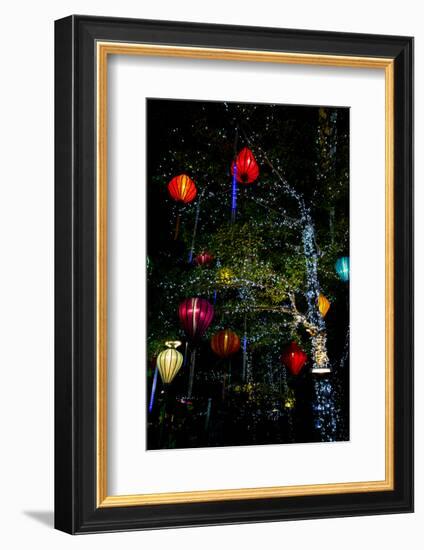 Light decorations. Tet Festival, New Year celebration, Vietnam.-Tom Norring-Framed Photographic Print