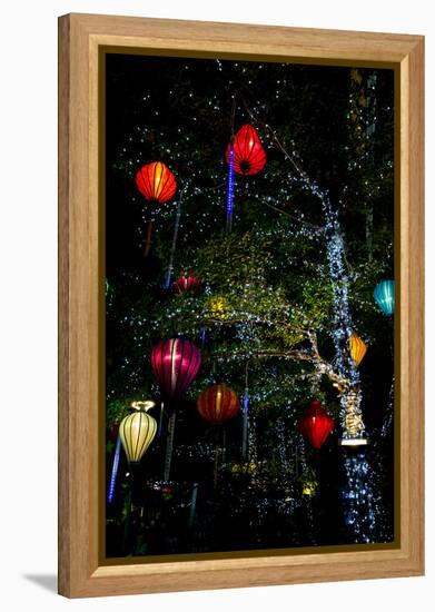 Light decorations. Tet Festival, New Year celebration, Vietnam.-Tom Norring-Framed Premier Image Canvas