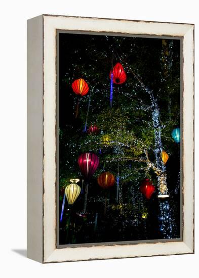Light decorations. Tet Festival, New Year celebration, Vietnam.-Tom Norring-Framed Premier Image Canvas