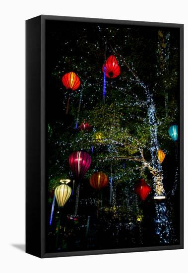 Light decorations. Tet Festival, New Year celebration, Vietnam.-Tom Norring-Framed Premier Image Canvas