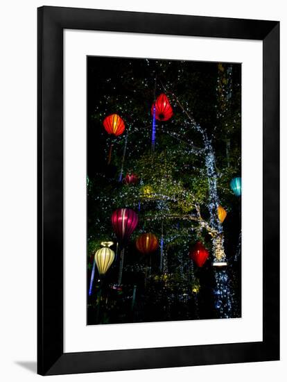 Light decorations. Tet Festival, New Year celebration, Vietnam.-Tom Norring-Framed Photographic Print