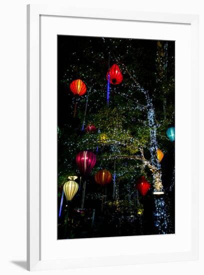 Light decorations. Tet Festival, New Year celebration, Vietnam.-Tom Norring-Framed Photographic Print