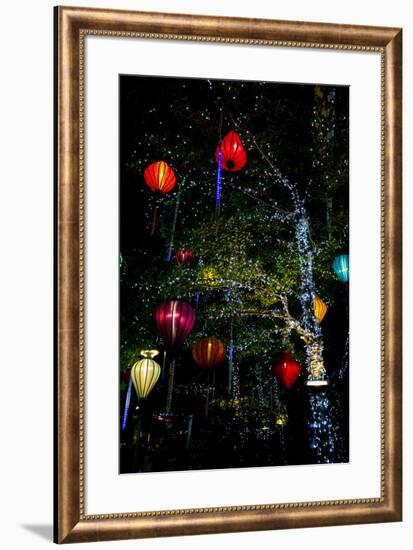 Light decorations. Tet Festival, New Year celebration, Vietnam.-Tom Norring-Framed Photographic Print