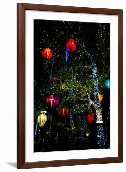 Light decorations. Tet Festival, New Year celebration, Vietnam.-Tom Norring-Framed Photographic Print