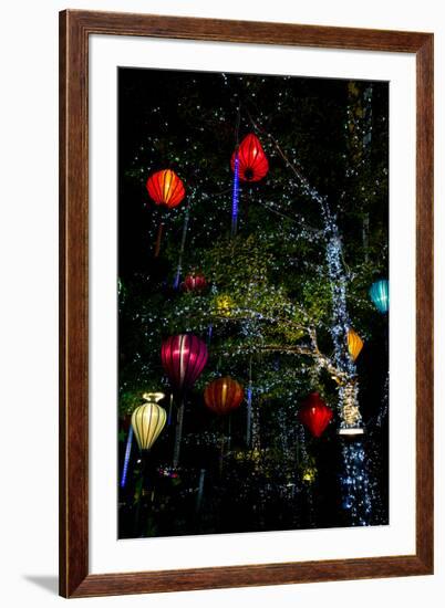 Light decorations. Tet Festival, New Year celebration, Vietnam.-Tom Norring-Framed Photographic Print