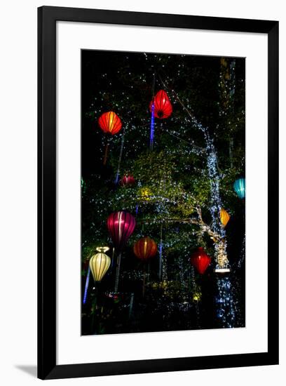 Light decorations. Tet Festival, New Year celebration, Vietnam.-Tom Norring-Framed Photographic Print