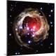 Premium Photographic Print