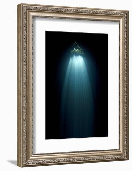 Light Entering Cenote Siete Bocas, Near Puerto Morelos, Riviera Maya, Yucatan Peninsula, Mexico-Claudio Contreras-Framed Photographic Print