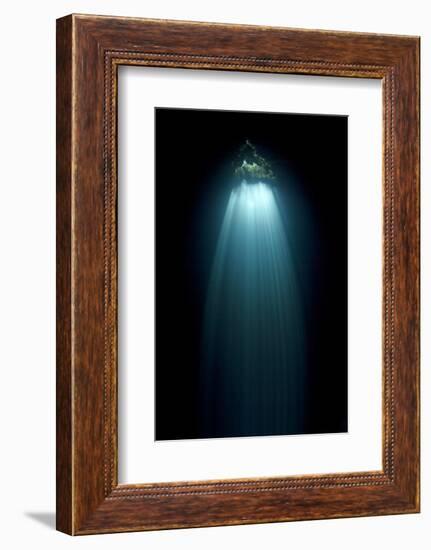 Light Entering Cenote Siete Bocas, Near Puerto Morelos, Riviera Maya, Yucatan Peninsula, Mexico-Claudio Contreras-Framed Photographic Print