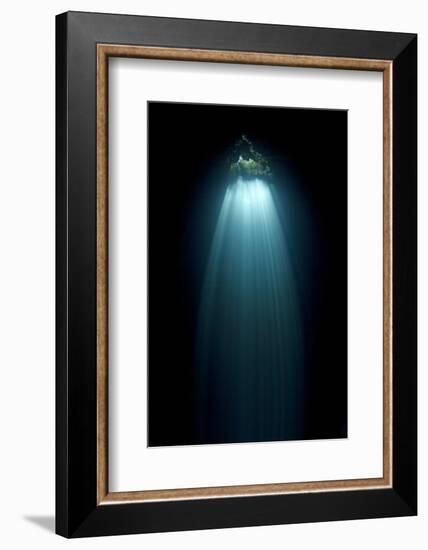 Light Entering Cenote Siete Bocas, Near Puerto Morelos, Riviera Maya, Yucatan Peninsula, Mexico-Claudio Contreras-Framed Photographic Print