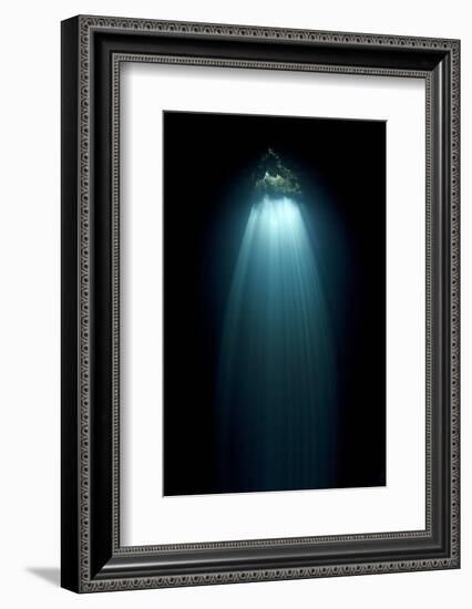 Light Entering Cenote Siete Bocas, Near Puerto Morelos, Riviera Maya, Yucatan Peninsula, Mexico-Claudio Contreras-Framed Photographic Print